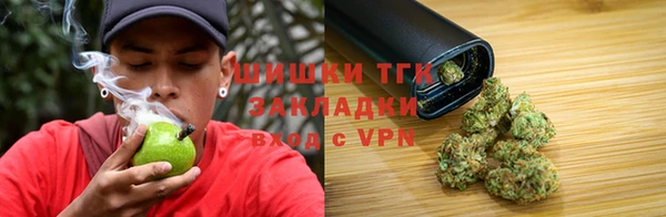ГАЛЛЮЦИНОГЕННЫЕ ГРИБЫ Заволжье