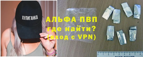 ГАЛЛЮЦИНОГЕННЫЕ ГРИБЫ Заволжье