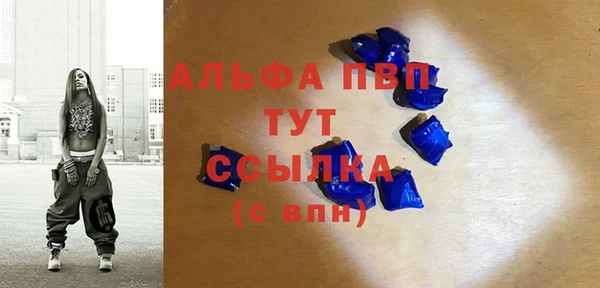 ГАЛЛЮЦИНОГЕННЫЕ ГРИБЫ Заволжье