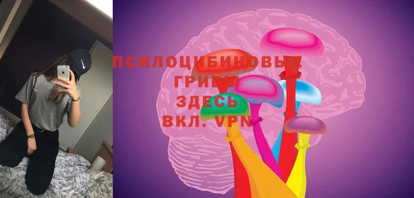 твердый Заволжск