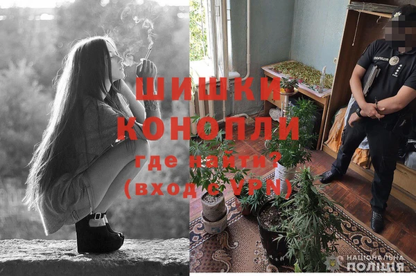 ГАЛЛЮЦИНОГЕННЫЕ ГРИБЫ Заволжье