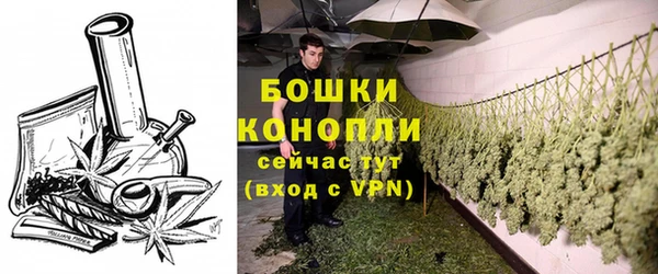 ПСИЛОЦИБИНОВЫЕ ГРИБЫ Заводоуковск