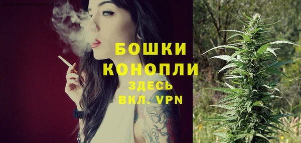 ГАЛЛЮЦИНОГЕННЫЕ ГРИБЫ Заволжье