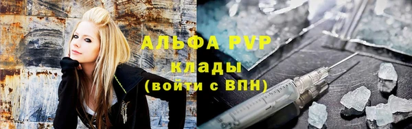 ГАЛЛЮЦИНОГЕННЫЕ ГРИБЫ Заволжье