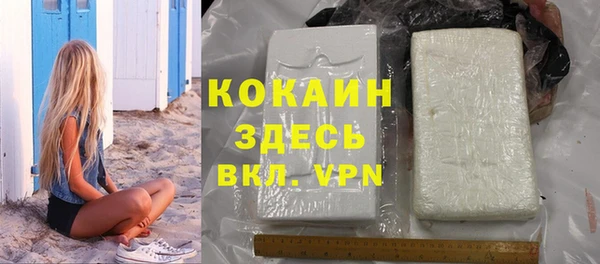 ПСИЛОЦИБИНОВЫЕ ГРИБЫ Заводоуковск
