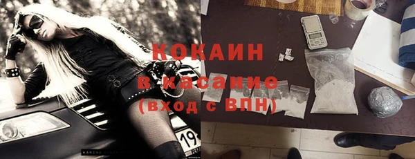 ГАЛЛЮЦИНОГЕННЫЕ ГРИБЫ Заволжье