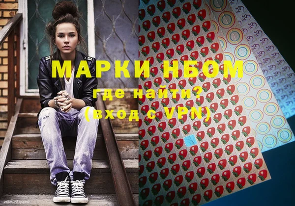 ПСИЛОЦИБИНОВЫЕ ГРИБЫ Заводоуковск